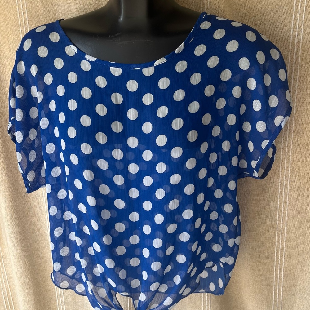 Elegant Blue Polka Dot sheer top